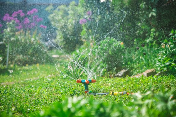 Landscape automatic garden watering system with different rotating sprinklers installed on turf. Landscape design with lawn and fruit garden irrigated with smart autonomous sprayers at sunset time