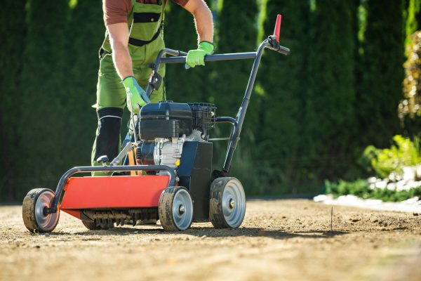 Landscaper Pushing Lawn Aerator. Preparing Backyard Ground For Grass Seeding.